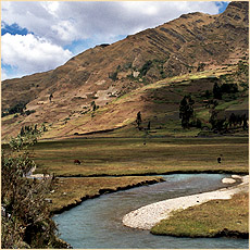 Peru 2005