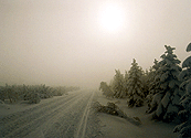 Zima 2003